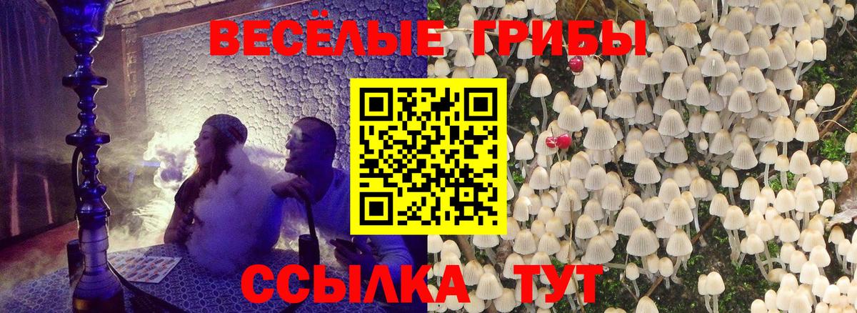 MDMA  Вход с VPN  Муром  Мефедрон кристаллы  ГАШ  Купить наркотики цена 