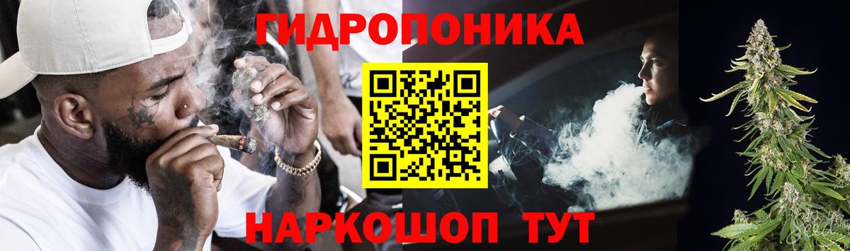 Марихуана VHQ  Вход с VPN  Муром  Каннабис марихуана  Марихуана Bruce Banner 